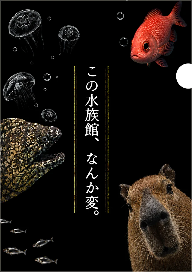 変なクリアファイル