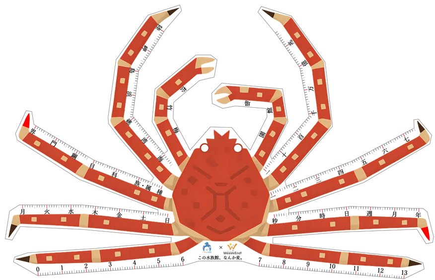 タカアシガニの形をした変なスケール