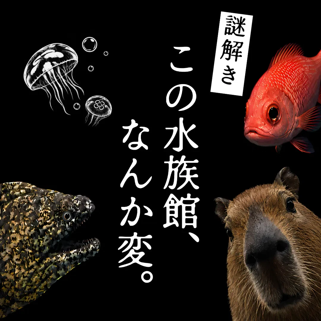 謎解き この水族館、なんか変。 竹島水族館